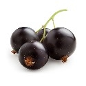 currant